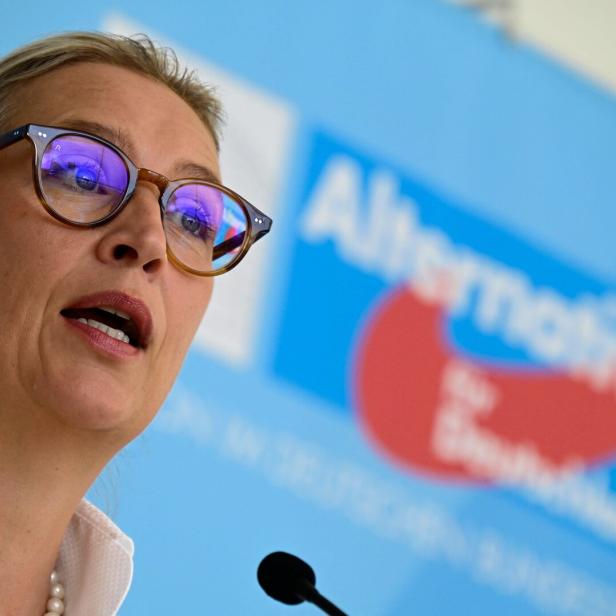 GERMANY-POLITICS-PARTIES-AFD