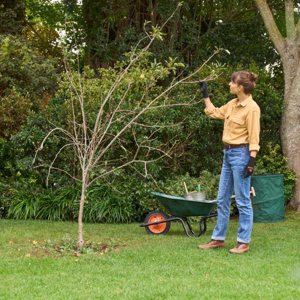 Eine Frau macht Gartenarbeit, um ihren Garten auf den Winter vorzubereiten.