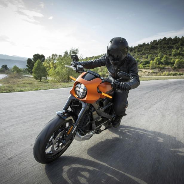 Eine Person fährt auf einem Motorrad durch eine grüne Landschaft.