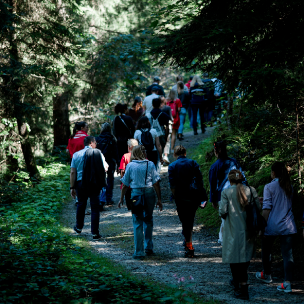 Wanderer im Wald, eingeladen von Coca Cola/ Alpbach