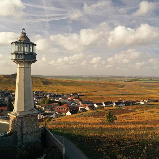 Ein Leuchtturm über Weinbergen im Herbst.