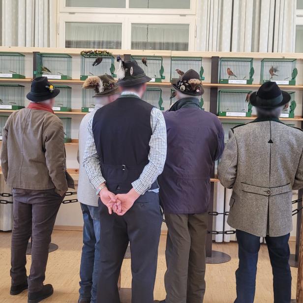 Fünf Männer in traditionell anmutender Kleidung und mit Jagdhüten stehen mit dem Rücken zur Kamera vor einer Wand voller Vogelkäfige.