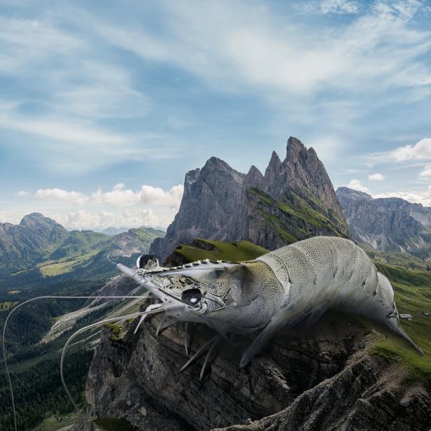 Eine Garnele thront auf einem Felsen vor einer Bergkulisse.