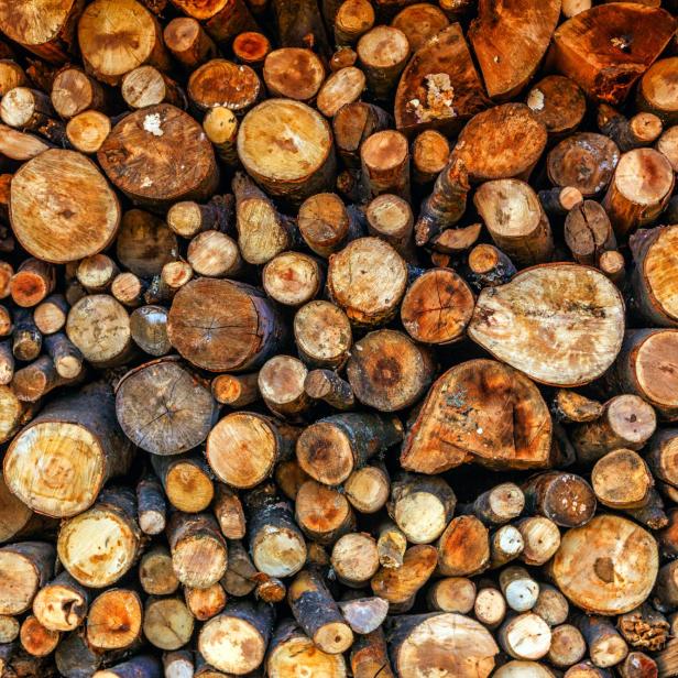 Geschlagenes Holz, geschlichtet.