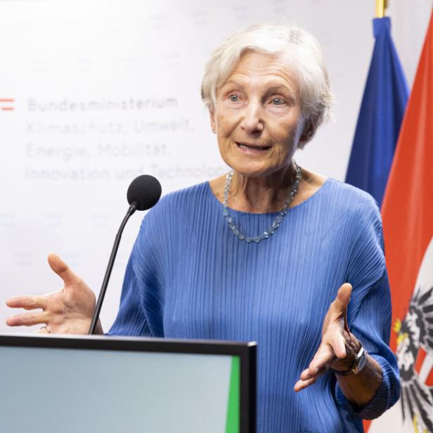 Eine Frau steht vor EU- und Österreichfahnen