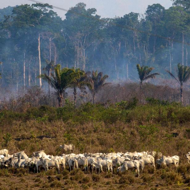 FILES-BRAZIL-ENVIRONMENT-AMAZON