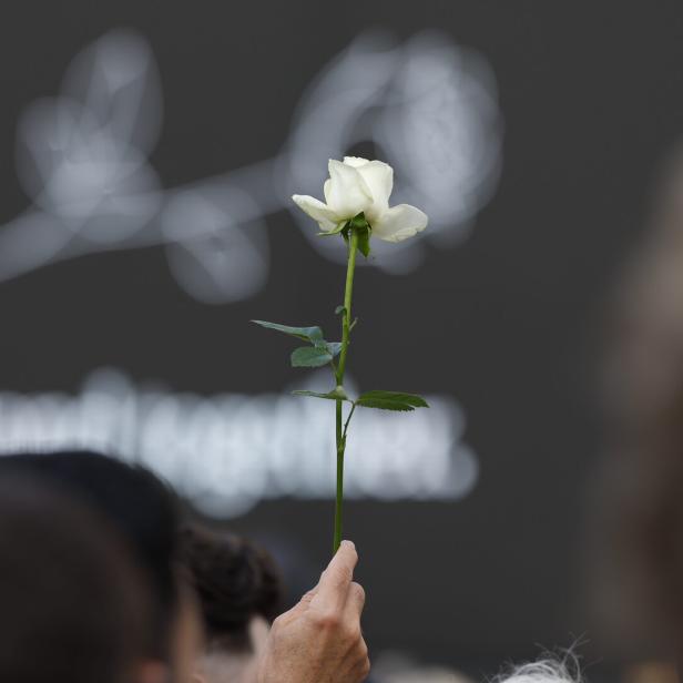 Eine Hand hält eine einzelne weiße Rose vor einem dunklen Hintergrund mit einer verschwommenen grafischen Darstellung einer Blume.