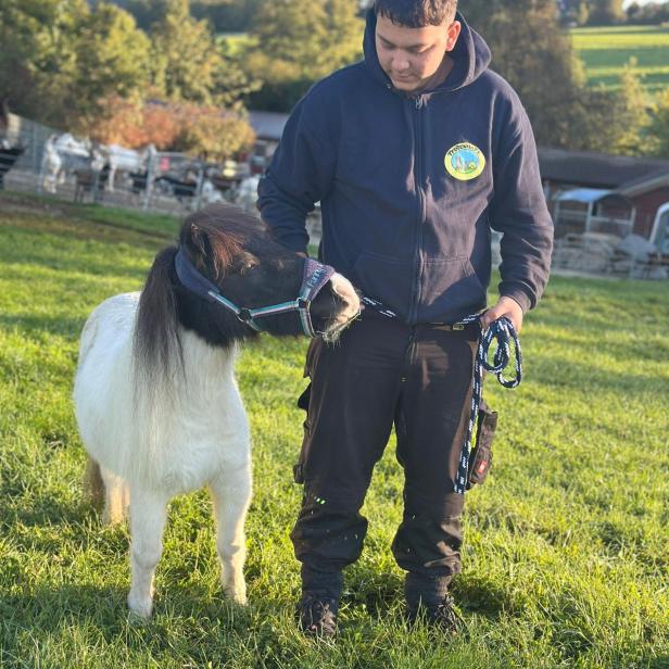 Ein Mitarbeiter der Pfotenhilfe steht auf einer grünen Wiese und hält ein kleines weiß-braunes Pony am Halfter.