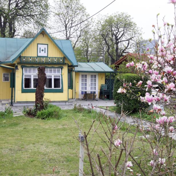 Zauberhaftes Schrebergartenhaus in Wien mit großes Garten. 