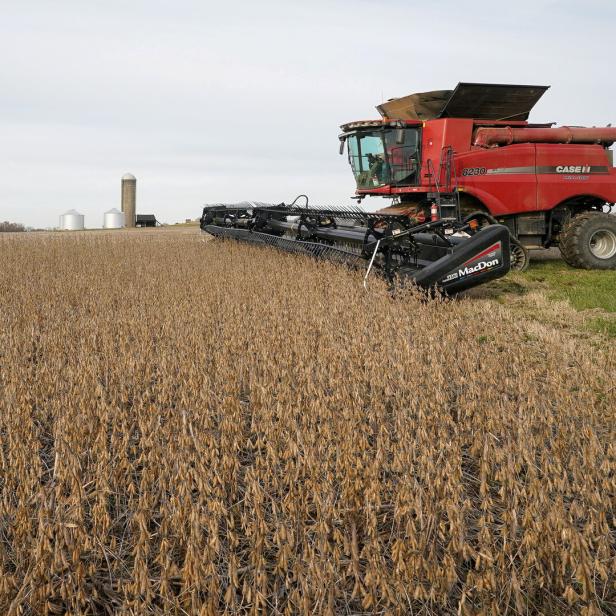 FILE PHOTO: China pivot from US farm imports bolsters it against trade war risks
