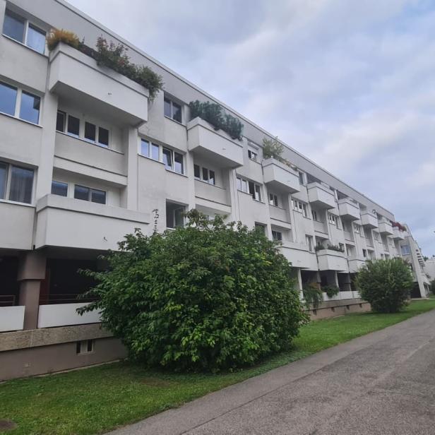 Polizeieinsatz in der Donaustadt