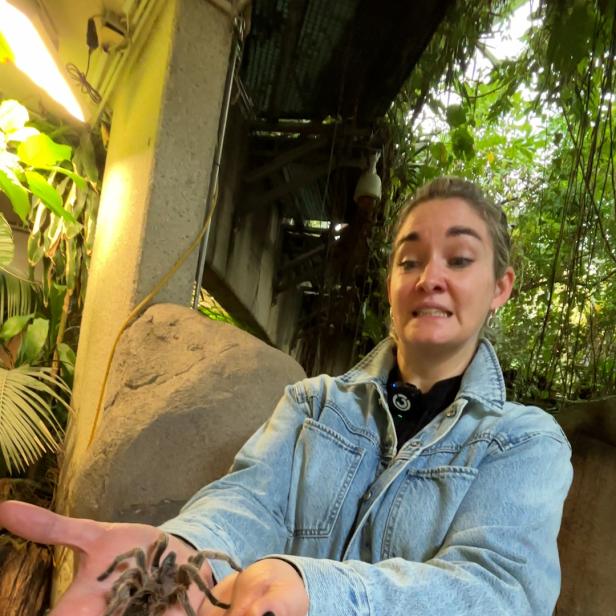 Wecker-Moderatorin Gabi Hiller mit einer Vogelspinne in der Hand