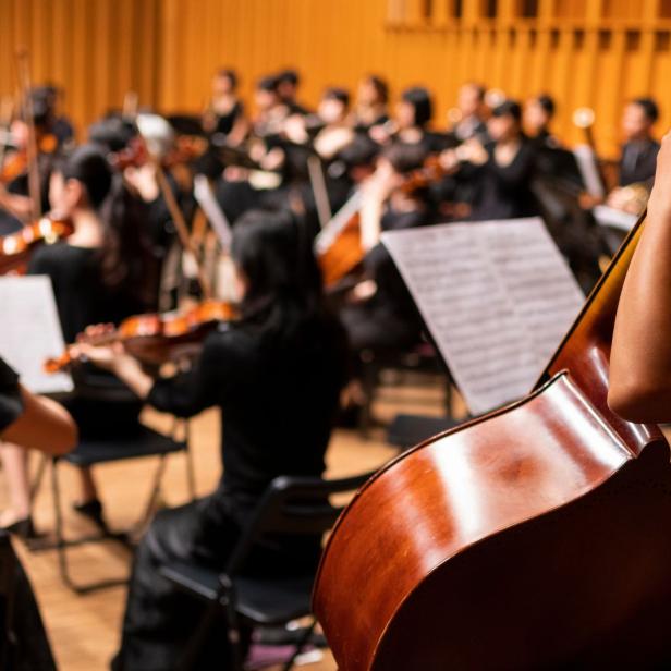 Orchester mit Streichinstrumenten in einem Konzertsaal, Musiker tragen schwarze Kleidung.