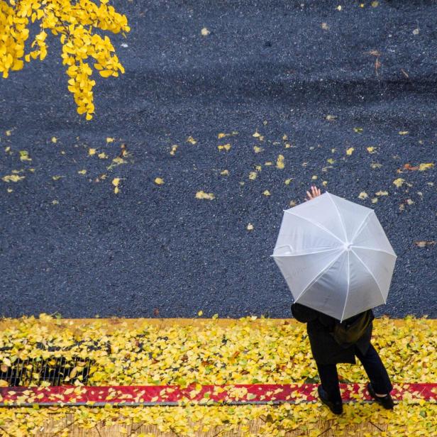 Eine Person mit Schirm geht auf einer Straße mit gelben Blättern im Herbst.