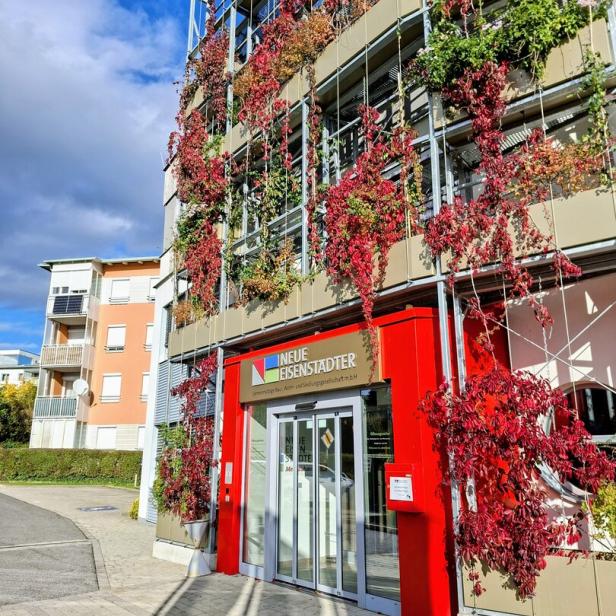 Neue Eisenstädter, gemeinnützige Wohnbaugesellschaft