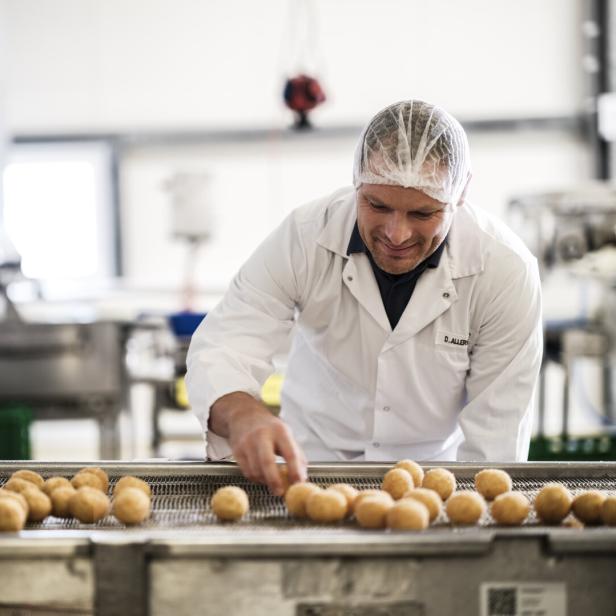 Ein Mann in weißem Kittel und Haarnetz sortiert Kartoffeln auf einem Förderband in einer Produktionshalle.