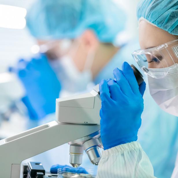 Person in Schutzkleidung und blauen Handschuhen blickt in ein Mikroskop im Labor.