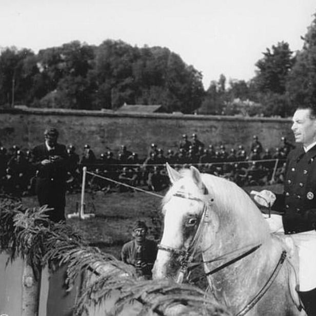 Podhajsky bat General Patton um Rettung der „Spanischen“ und der Lipizzaner