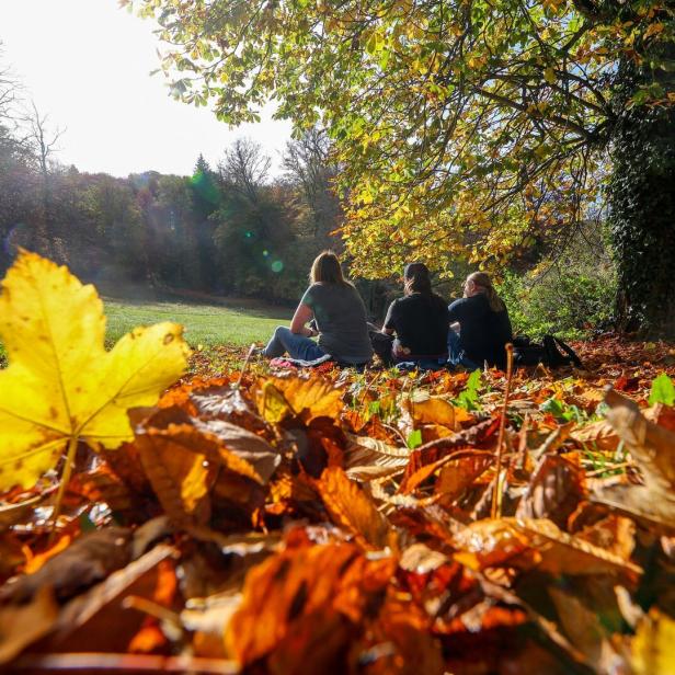 Herbst auf der Schwäbischen Alb