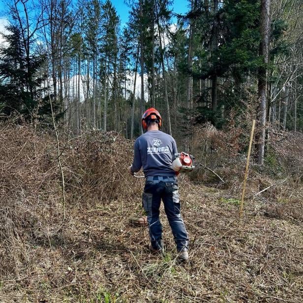 Kilian Zierer GH verbindet Spezialbaumfällung mit moderner Gartenpflege und nachhaltigen Grünraum-Lösungen.