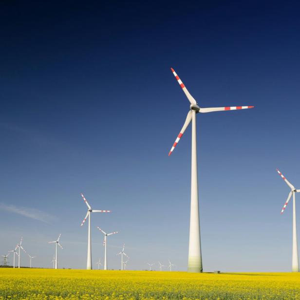 Windräder über einem gelben Blumenfeld unter blauem Himmel.