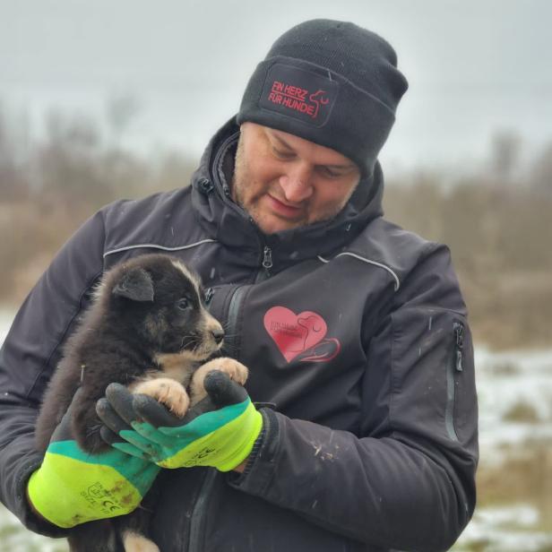 Ein Herz für Hunde: Tierschutz in Bosnien, Engagement und monatliche Patenschaften für Straßenhunde. // Ein Mann hält einen Hundewelpen im Arm.