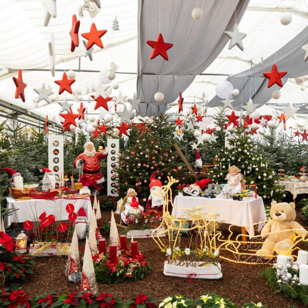Weihnachtsausstellung in den Blumengärten Hirschstetten