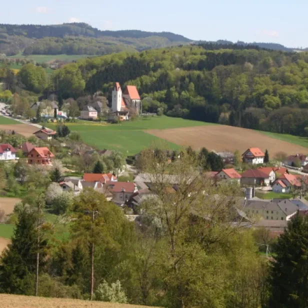 Mauer in Dunkelsteinerwald