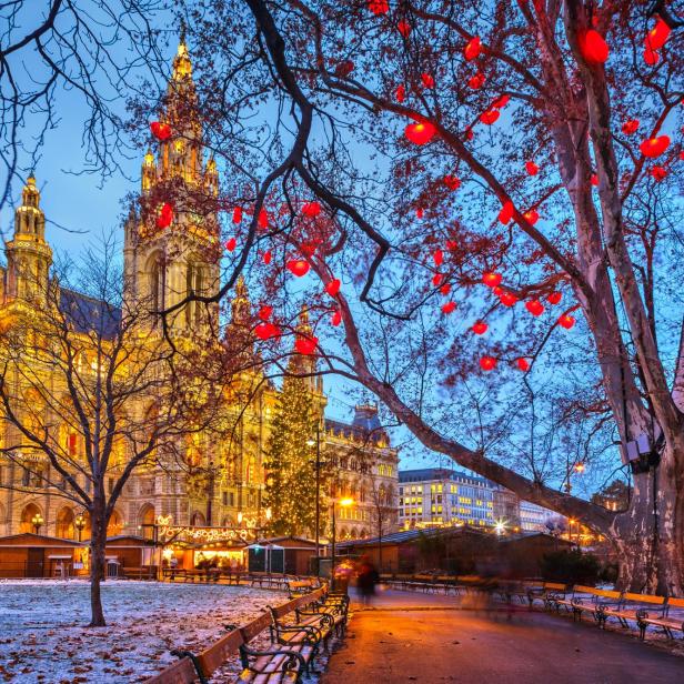 Das beleuchtete Rathaus in der Dämmerung mit dem berühmten Herzerlbaum im Rathauspark.