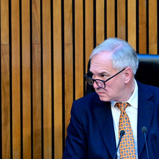 FPÖ-Symposium gefährdet laut Haubner die Erinnerungskultur