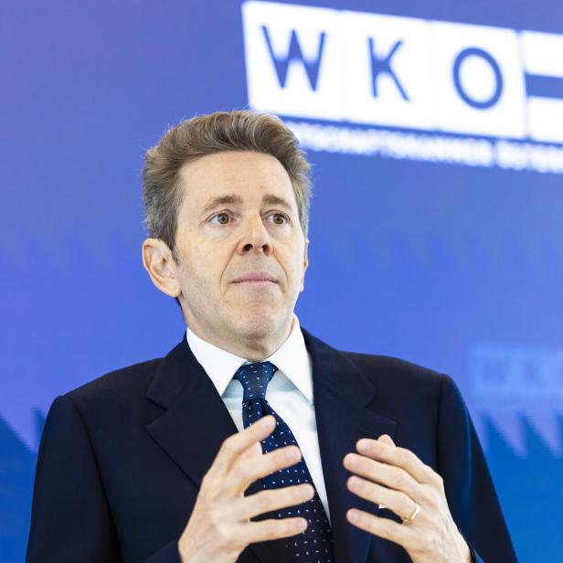 Harald Mahrer gestikuliert vor einem blauen Hintergrund mit dem WKO-Logo.