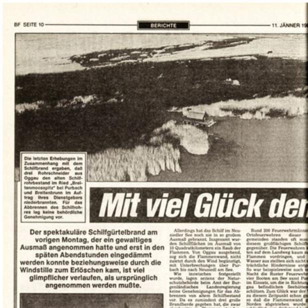Luftaufnahme eines großen Schilfgürtels an einem Gewässer, dazu ein Artikel über einen Brand im Schilfgebiet.
