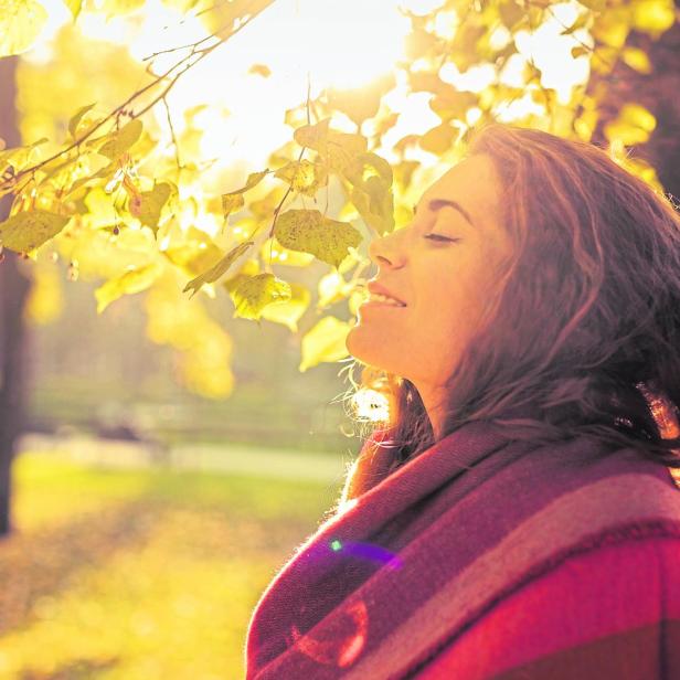Eine Frau mit Schal genießt die Sonne unter einem Baum mit gelben Blättern.