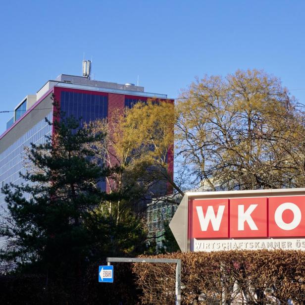 WKO: Blaue Petition für Kammer-Reform, Grüne und Neos wollen Rücklagen angreifen