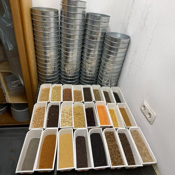 Verschiedene Getreide- und Saatgutproben in weißen Behältern vor gestapelten Metallsieben.