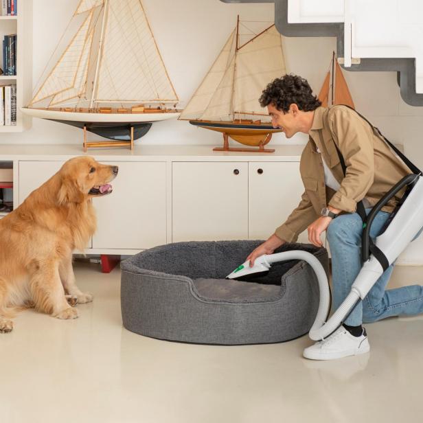 Ein Mann saugt mit einem Staubsauger ein Hundebett aus, der Hund sitzt daneben und schaut seinem Herrchen zu.