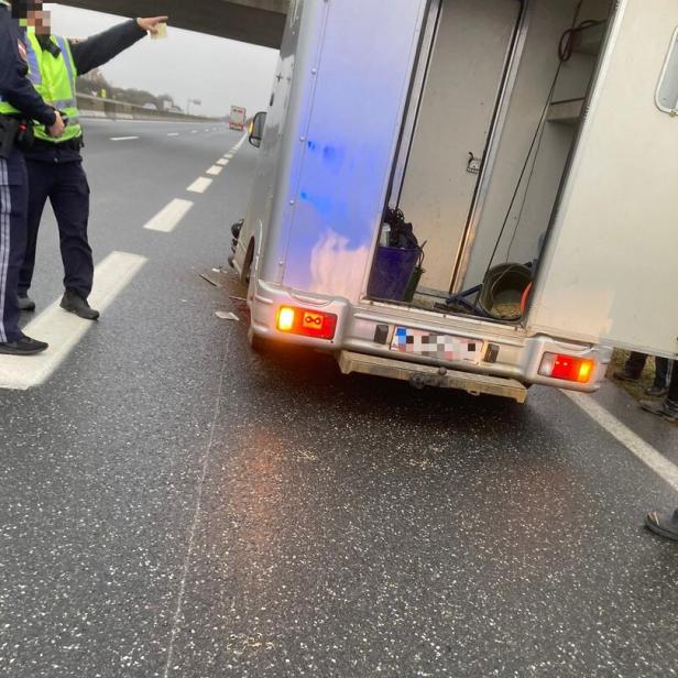 Auf einer Autobahn steht ein beschädigter Pferdeanhänger, während Polizisten die Situation begutachten.