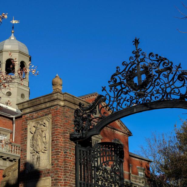 Harvard campus