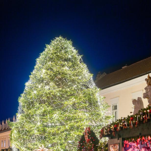 Großer, festlich beleuchteter Weihnachtsbaum auf einem Weihnachtsmarkt mit Verkaufsständen und Krippe bei Nacht.