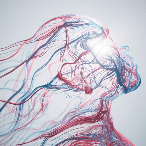 Abstract Human Face - Artificial Intelligence, Psychology, Technology, Blood Flow - Red And Blue