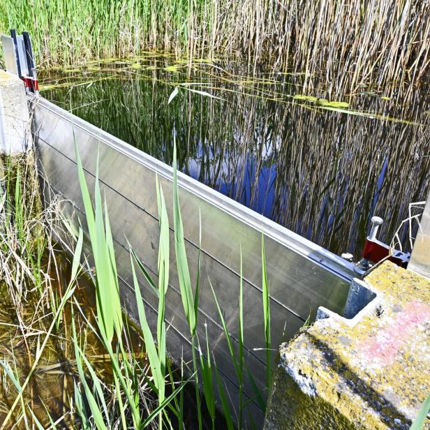 Ein Wehr aus Metall staut das Wasser in einem Graben mit Schilf und Gras.