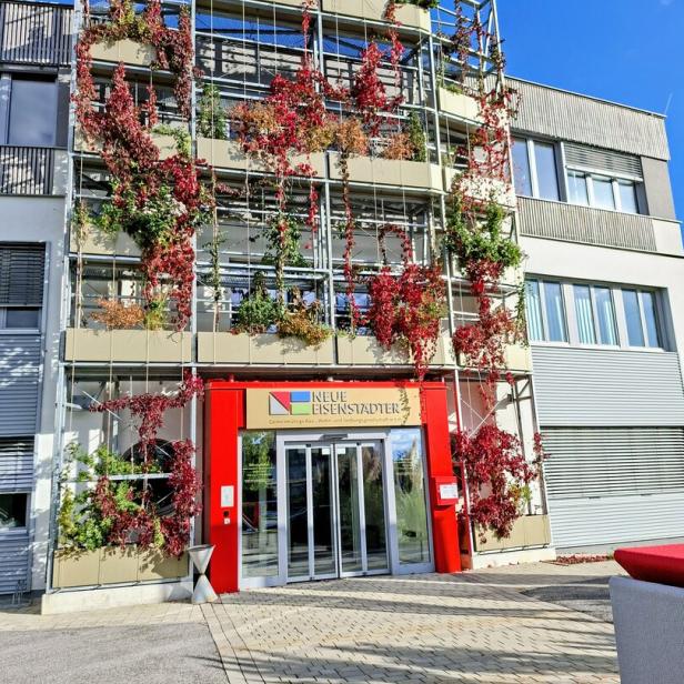 Neue Eisenstädter