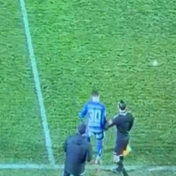 Fridrikas bei seiner Einwechslung