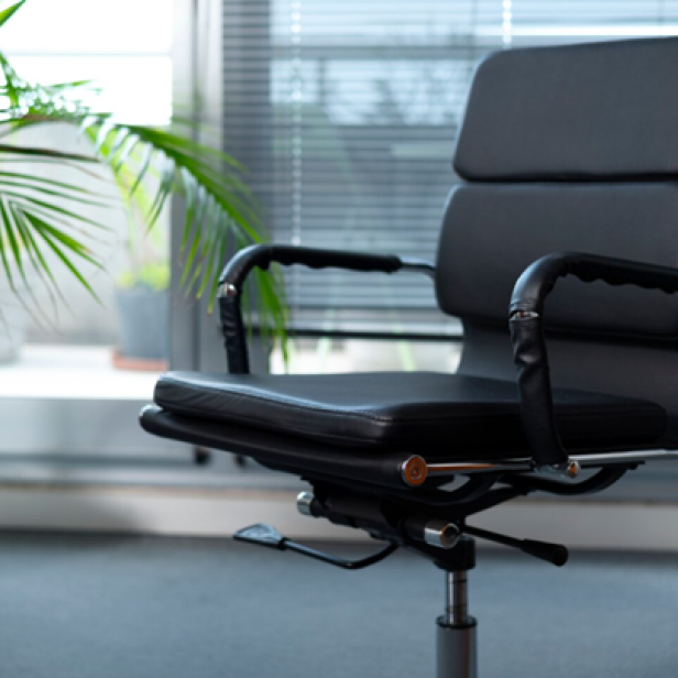 Ein schwarzer Bürostuhl neben einer Zimmerpflanze 