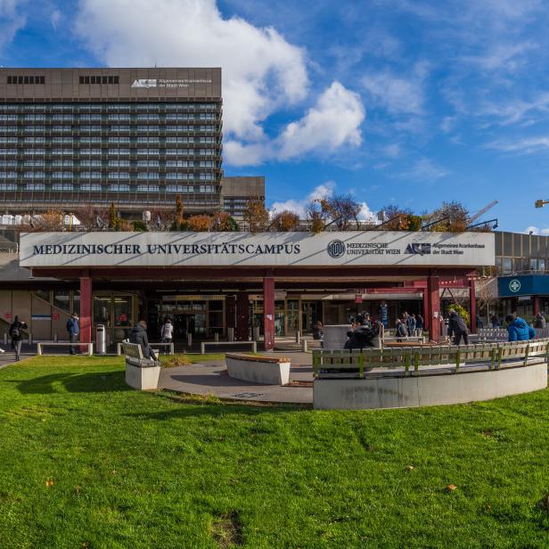 Das AKH Wien.