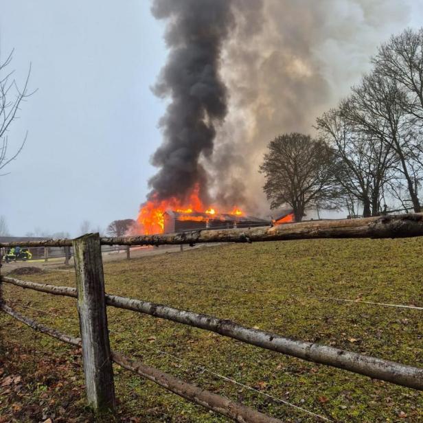 Pferdestall in Vollbrand
