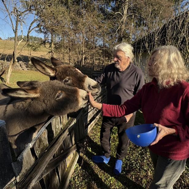 Zwei Esel werden von einer Frau gefüttert, während ein Mann daneben steht, im Hintergrund Wiese und Bäume.