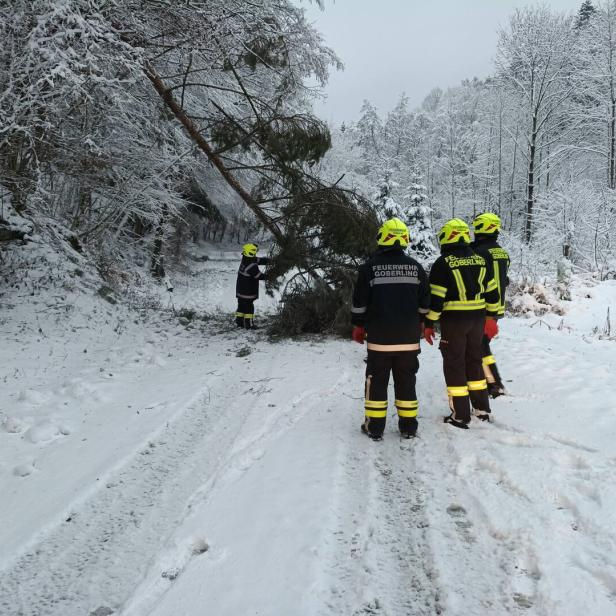 Vier Feuerwehrleute räumen auf einer verschneiten Straße einen umgestürzten Baum beiseite.