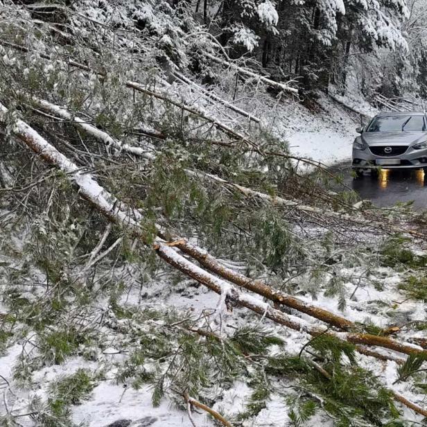 Feuerwehreinsätze nach Schneefall