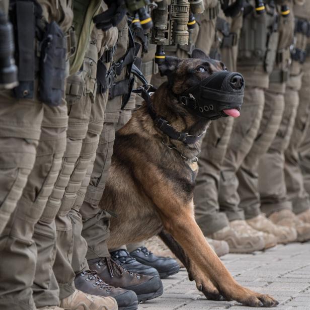 Diensthund des SEK der Polizei Frankfurt